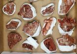 Lot: Natural, Red Quartz Crystal Clusters - Pieces #101499-1